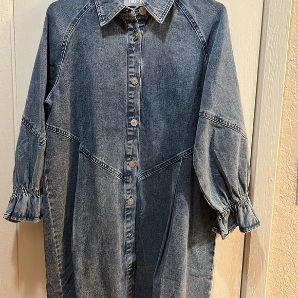 Blueb Boutique Collection Denim Shirt Dress - Picture 3 of 6